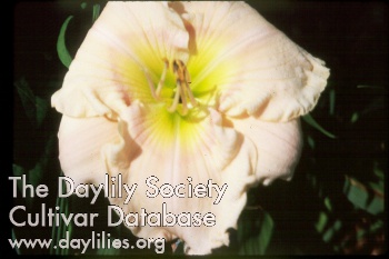 Garden Goddess AHS image