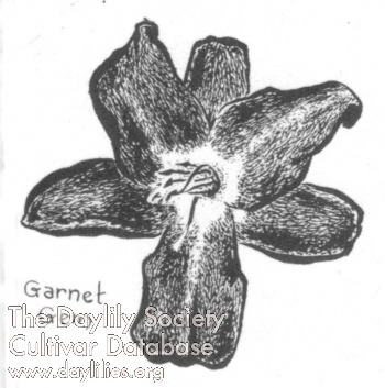 Garnet Gem AHS image