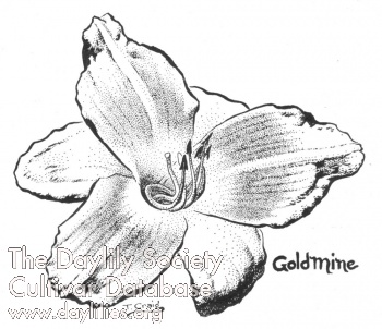 Gold Mine AHS image
