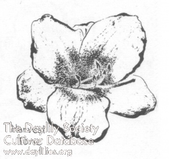 Harvest Tone