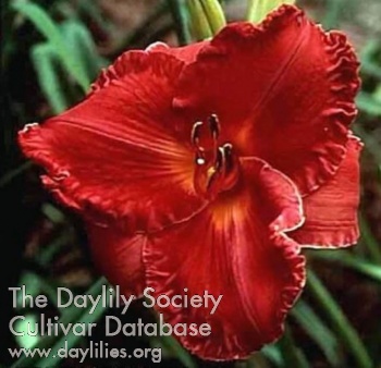 Hermitage Darwin AHS image