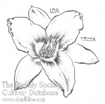 Ida