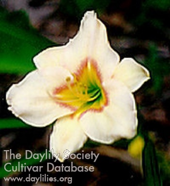 In Springtime AHS image