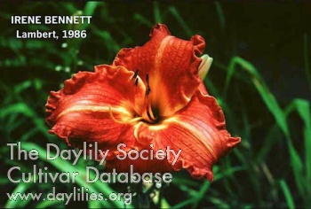 Irene Bennett AHS image