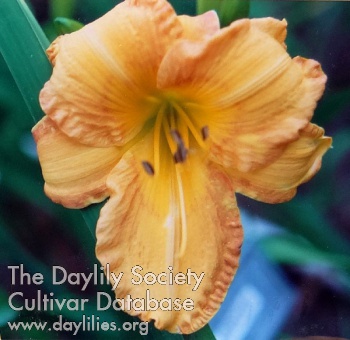 Jerome AHS image