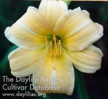 July Jubilee AHS image