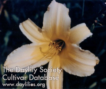 Libby Leone AHS image