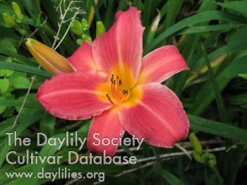 Marguerite Beverly AHS image