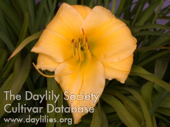 Monterey Bay AHS image