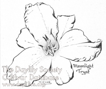 Moonlight Tryst AHS image