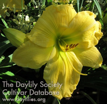 Newberry Beauty AHS image