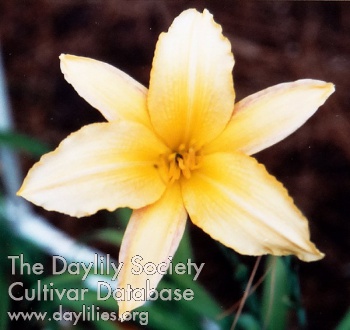 Nola Jane Crosby AHS image