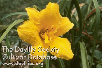 Olallie Double AHS image