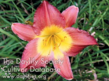 Olallie Heikki AHS image