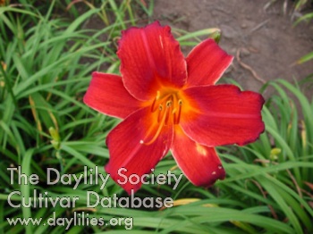 Olallie Kevin AHS image