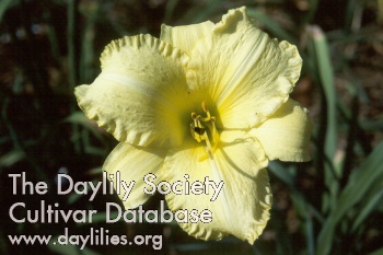 Olin Criswell AHS image