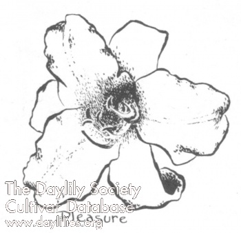 Pleasure AHS image