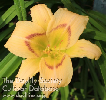 Powhatan Princess AHS image