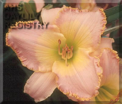 Prairie Magic AHS image