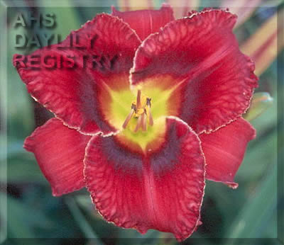Prairie Warrior AHS image