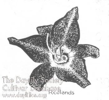 Redlands