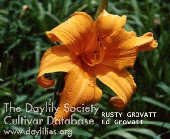 Rusty Grovatt AHS image