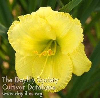 Seneca Valley AHS image
