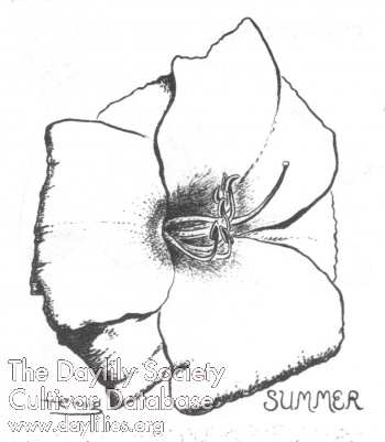 Summer AHS image