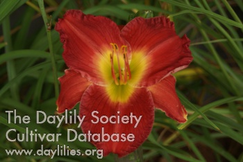 Summer Deck AHS image
