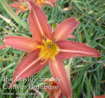 Sweetbriar AHS image