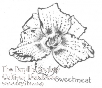 Sweetmeat AHS image
