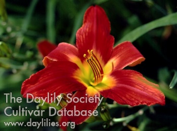 Top Priority AHS image