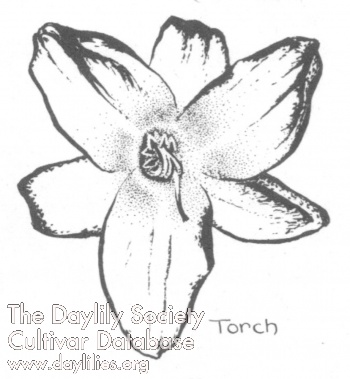 Torch AHS image