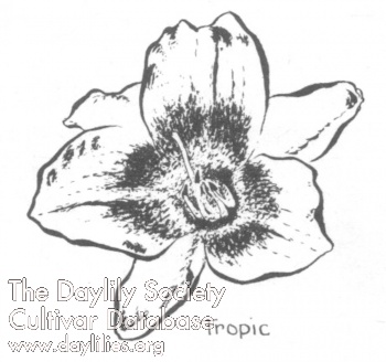 Tropic AHS image