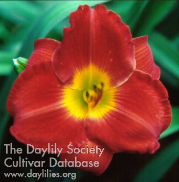 Warrior Prince AHS image