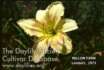Willow Farm AHS image