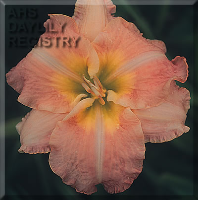 Lindan Toole AHS image
