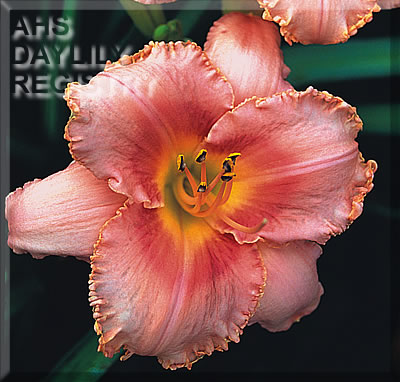 Thumbelina's Carriage AHS image