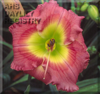 Beauty Emporium AHS image