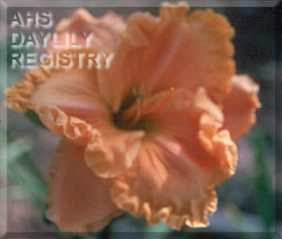 Jule Carter AHS image