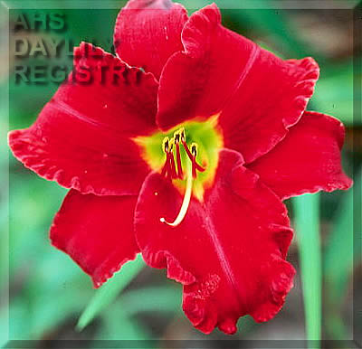 Scarlet Blessings AHS image