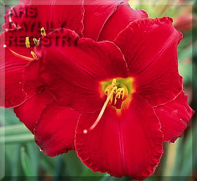 Red Reverence AHS image