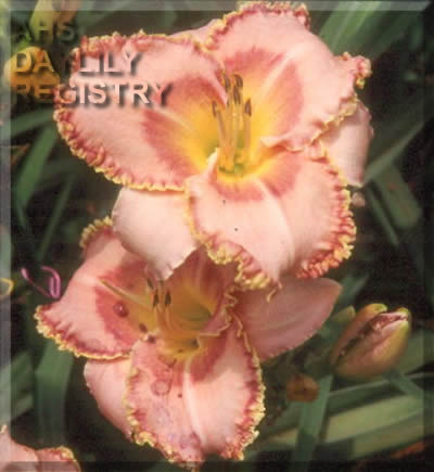 Cherry Hill Park AHS image
