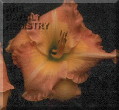 Nature's Gift AHS image