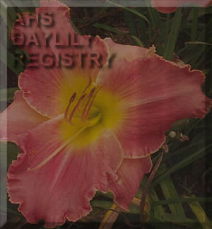 Heavenly Romance AHS image