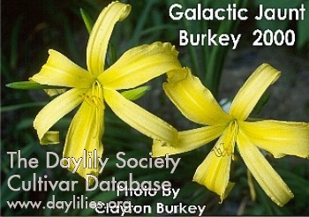 Galactic Jaunt AHS image
