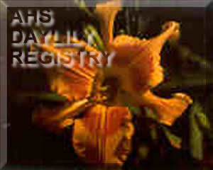 Heavens to Betsy AHS image