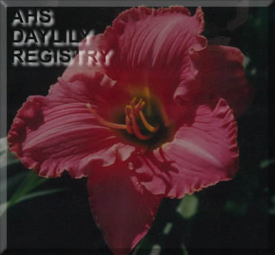 Rose Helena AHS image