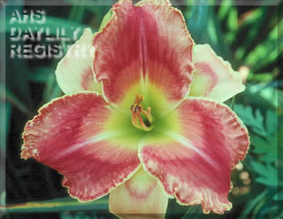 Venetian Ruler AHS image