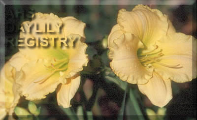 Iowa Sunshine AHS image